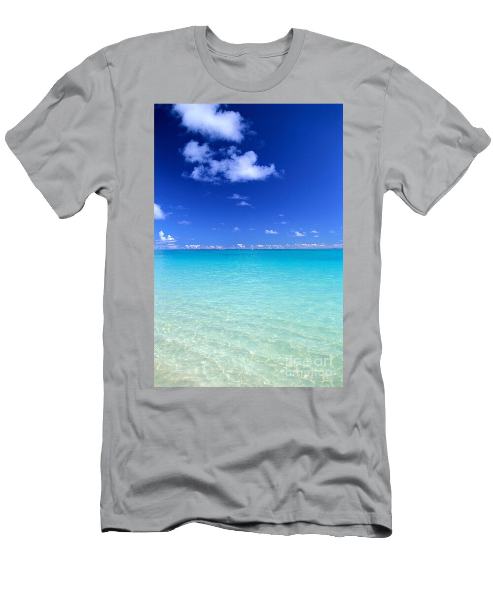 Fades to Turquoise Dana Edmunds T-Shirt