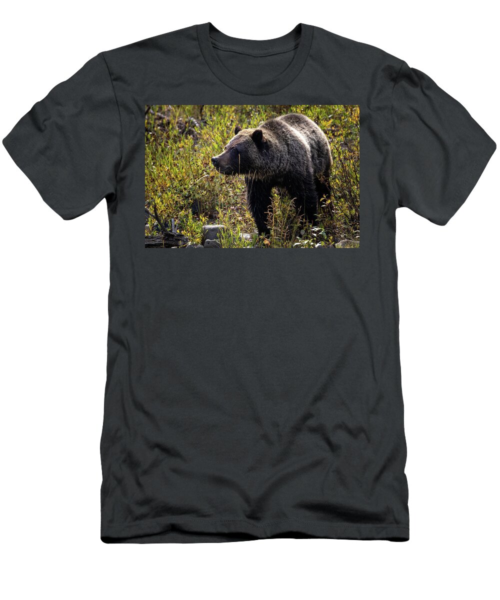 Fall Grizzly Julie Argyle T-Shirt