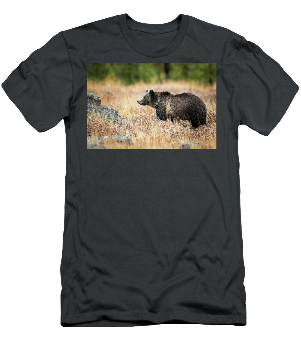 Fall Snow Julie Argyle T-Shirt