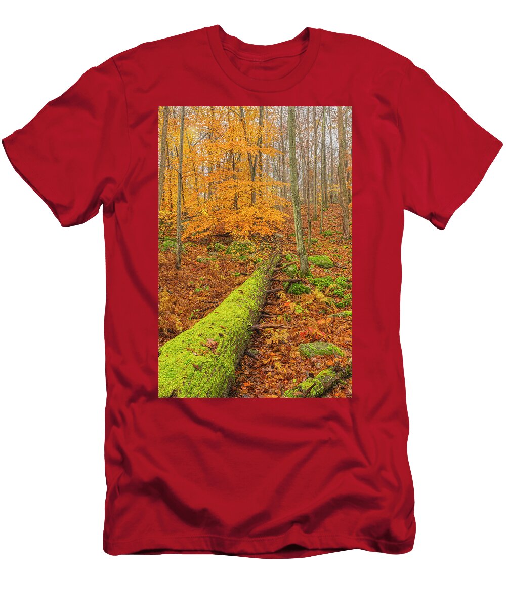 Fallen Tree of Moss and Orange Dreams Angelo Marcialis T-Shirt