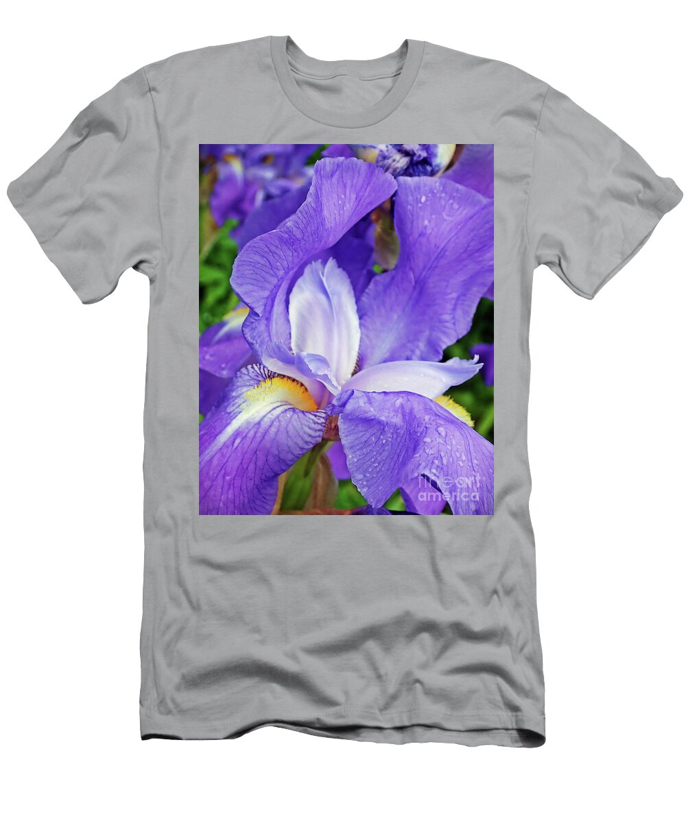 Falls Faery Dance Angela Murray T-Shirt