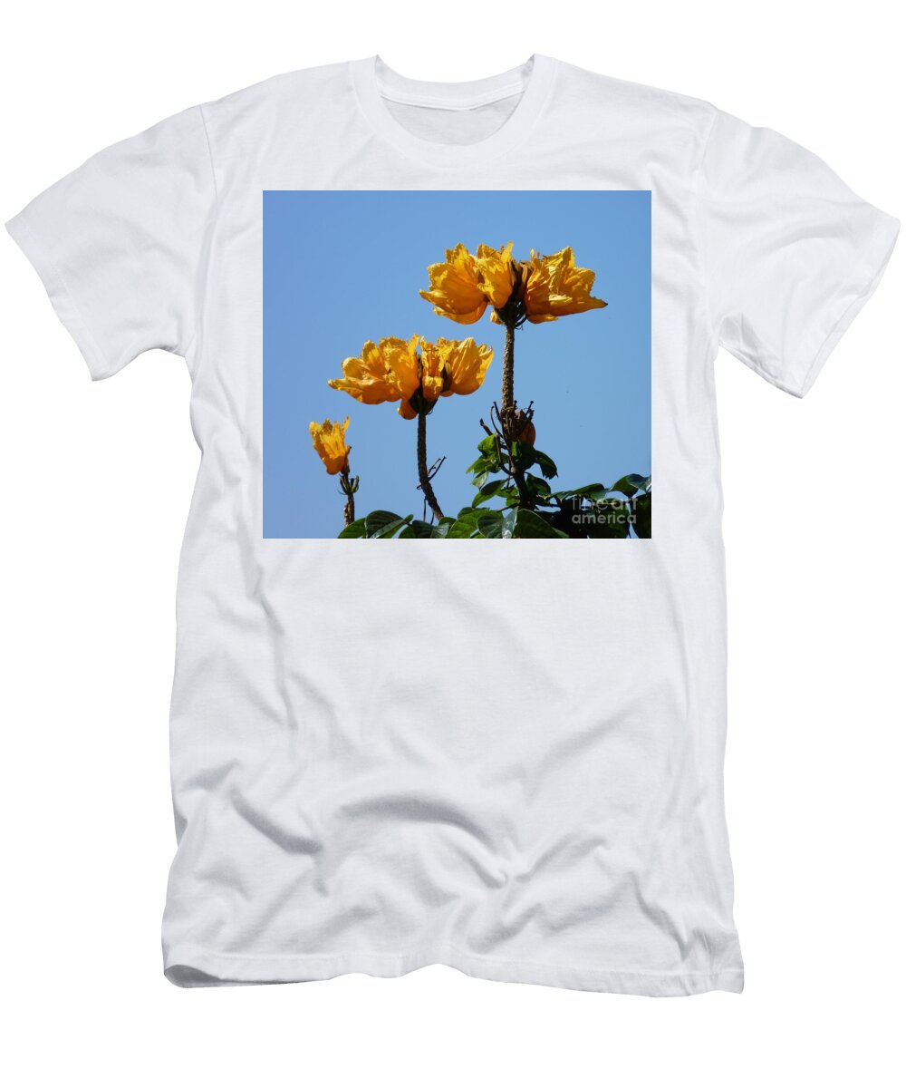 Family Portrait Cat Pancake T-Shirt