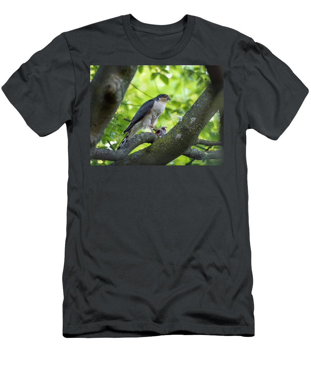 Female Sparrowhawk Perched in a Tree Clutching Its Prey Konrad Wothe Natureplcom T-Shirt
