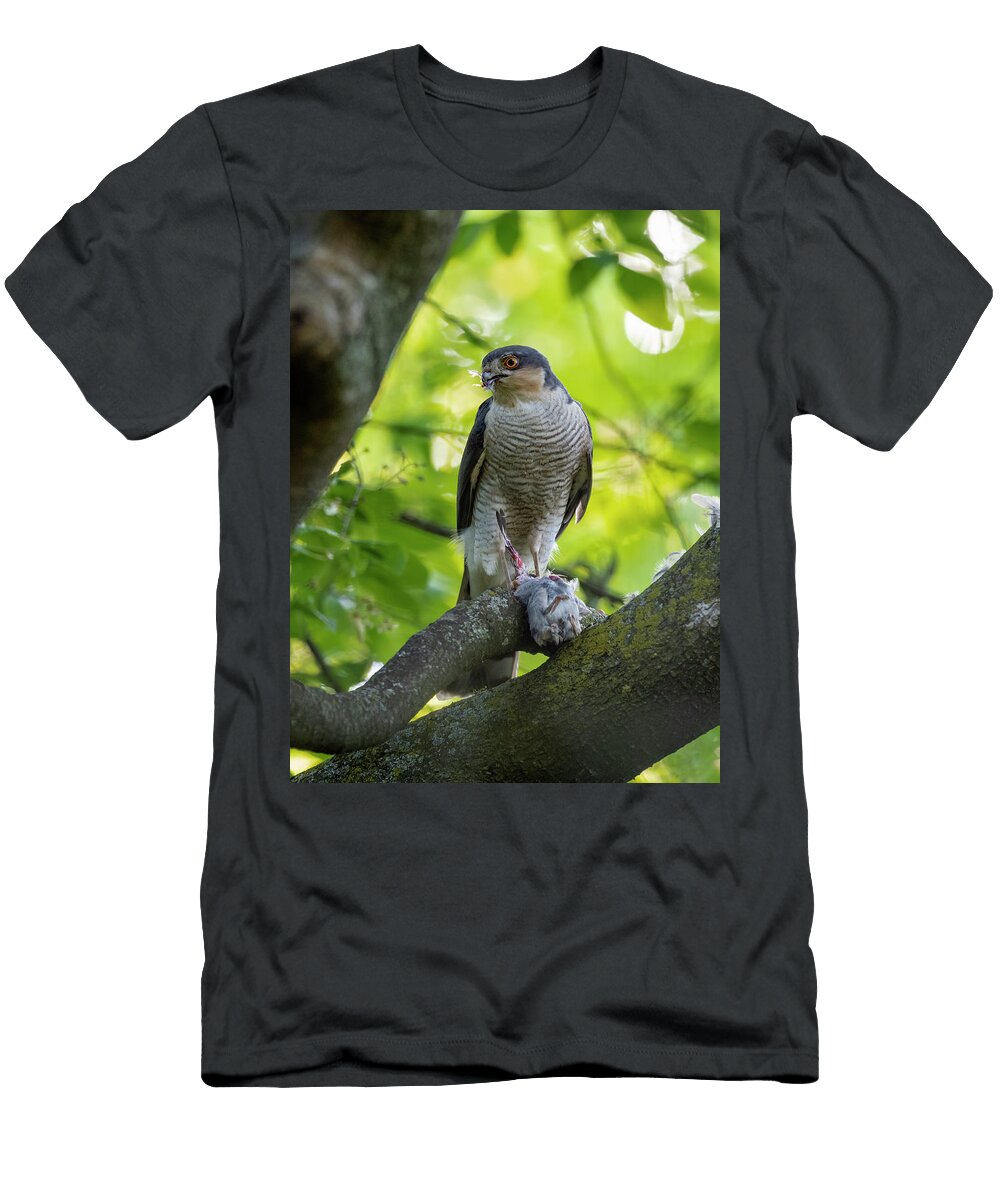 Female Sparrowhawk Perched in Tree Clutching Its Prey Konrad Wothe Natureplcom T-Shirt
