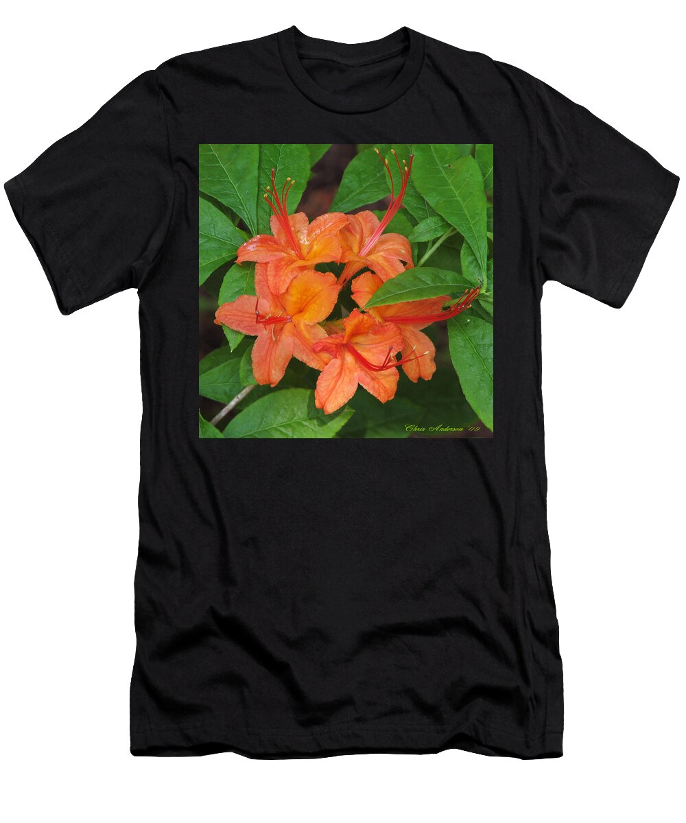 Flame Azalea Chris Anderson T-Shirt