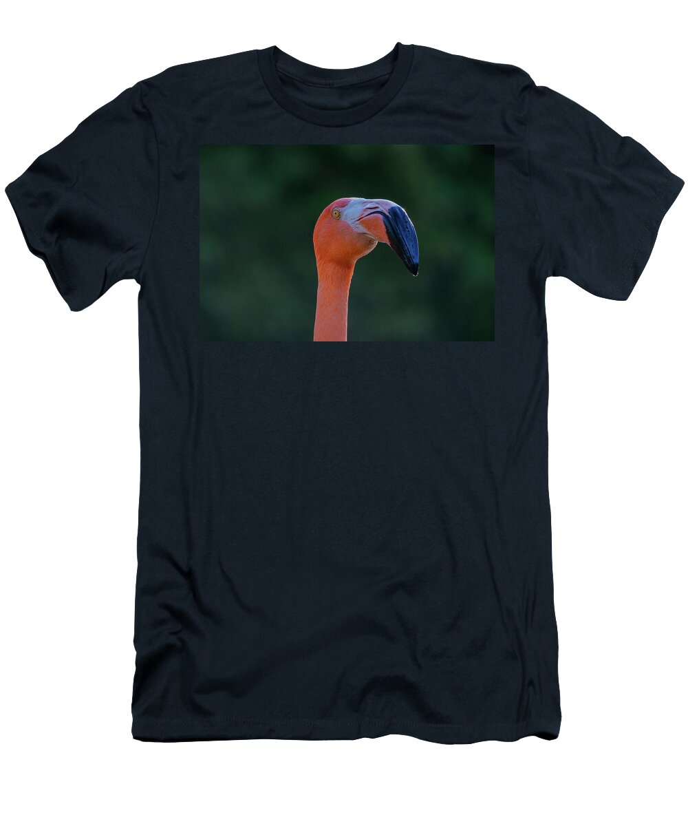 Flamingo Angela Carrion Photography T-Shirt