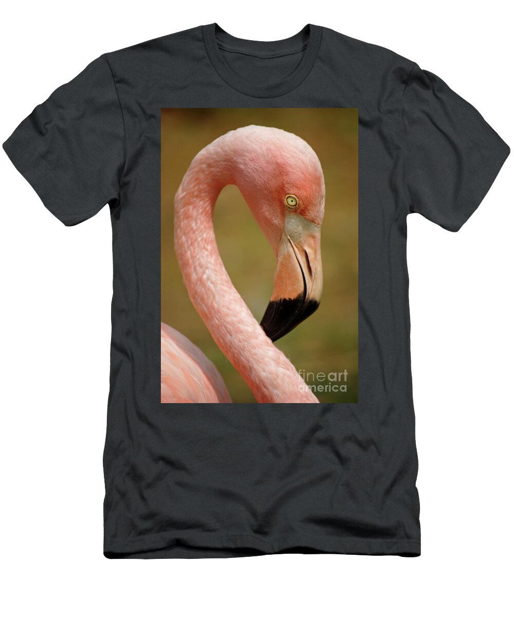 Flamingo Head Carlos Caetano T-Shirt