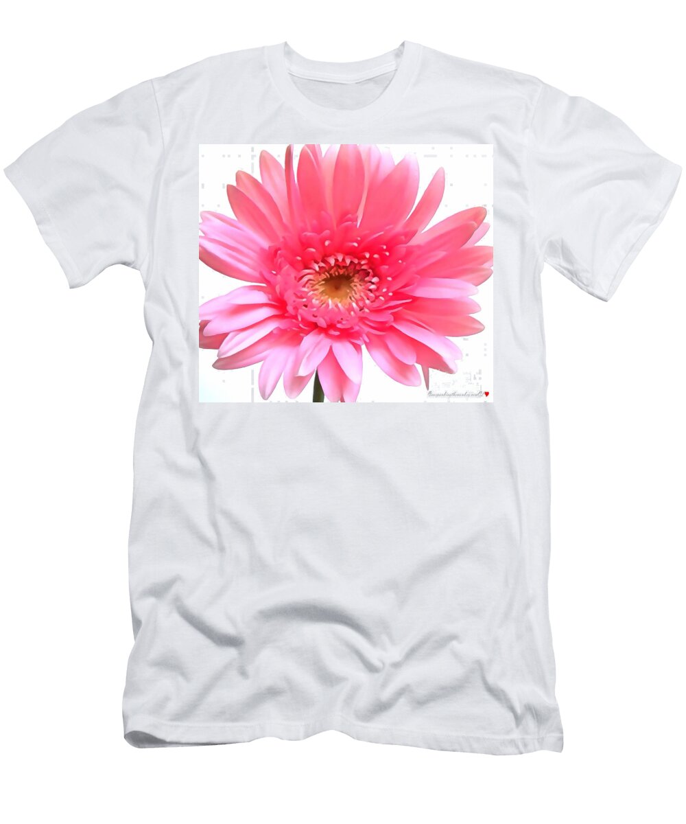 Floral with Edging Catherine Lott T-Shirt