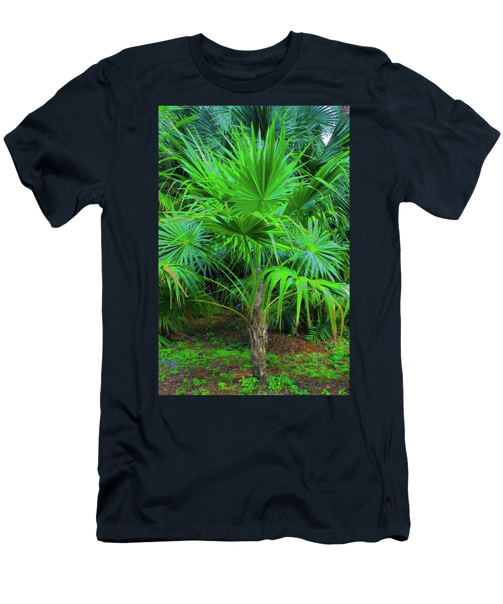 Florida Thatch Palm Christopher J Kirby T-Shirt