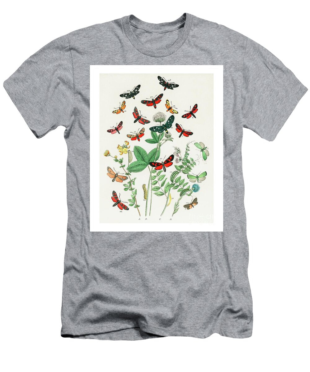 Fluttering Butterflies and Caterpillars Vintage Illustration Wall Art Print and Poster Design Remix Word Fandom T-Shirt