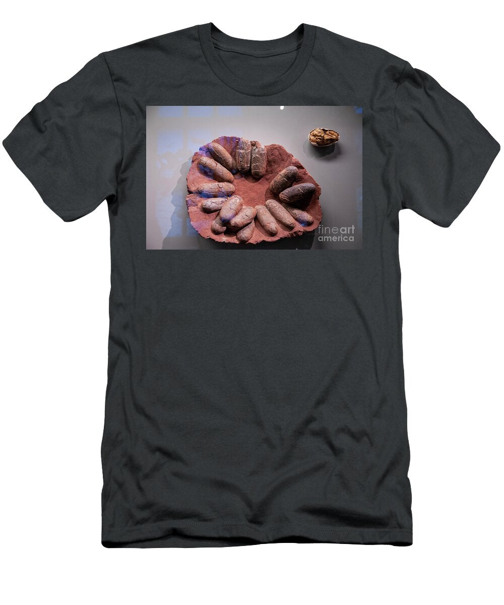 Fossilized Dinosaur Eggs and Nest L1 Ilan Rosen T-Shirt