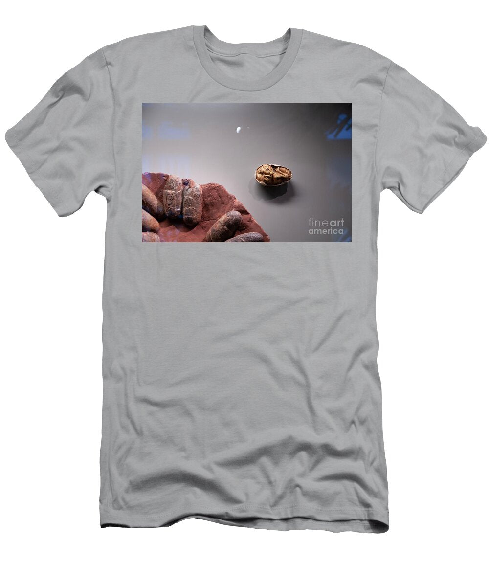 Fossilized Dinosaur Eggs and Nest L2 Ilan Rosen T-Shirt