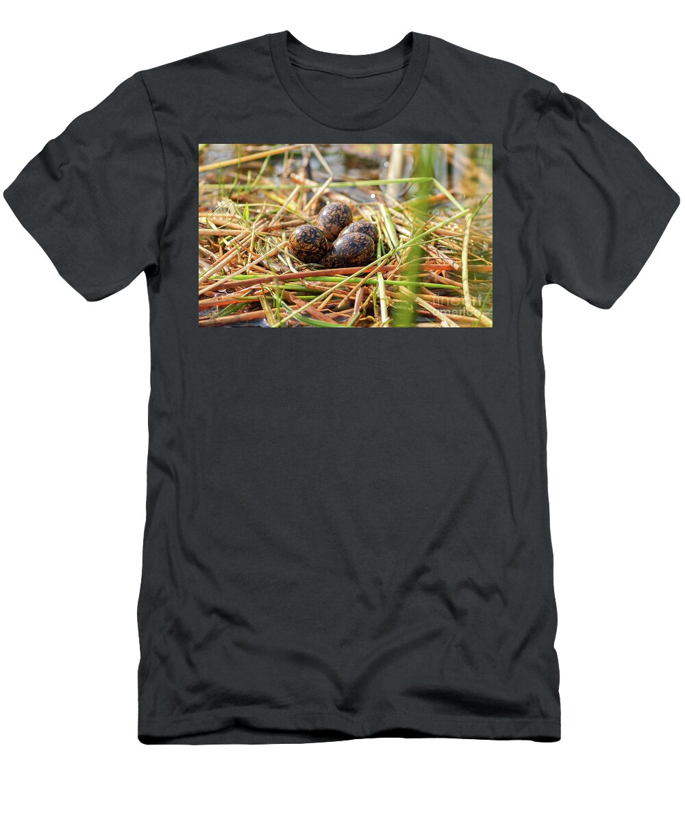 Four Jacana Birds Eggs in Floating Nest in Reeds Brian Scantlebury T-Shirt