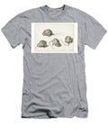 Four Studies of a Diseased Mouse Jacob De Gheyn Ii 1575 1625 Jacob De Gheyn T-Shirt