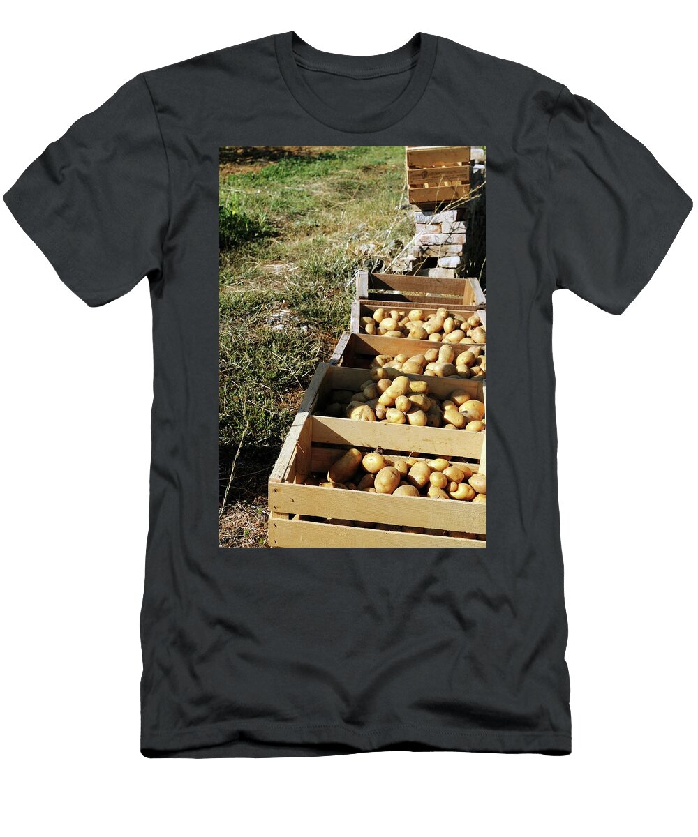 Freshly Harvested Potatoes in Crates in a Vegetable Garden Mario Matassa T-Shirt