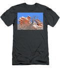 Frigida Is Latin for Cold Winter Wonderland in Garden of the Gods Bijan Pirnia T-Shirt