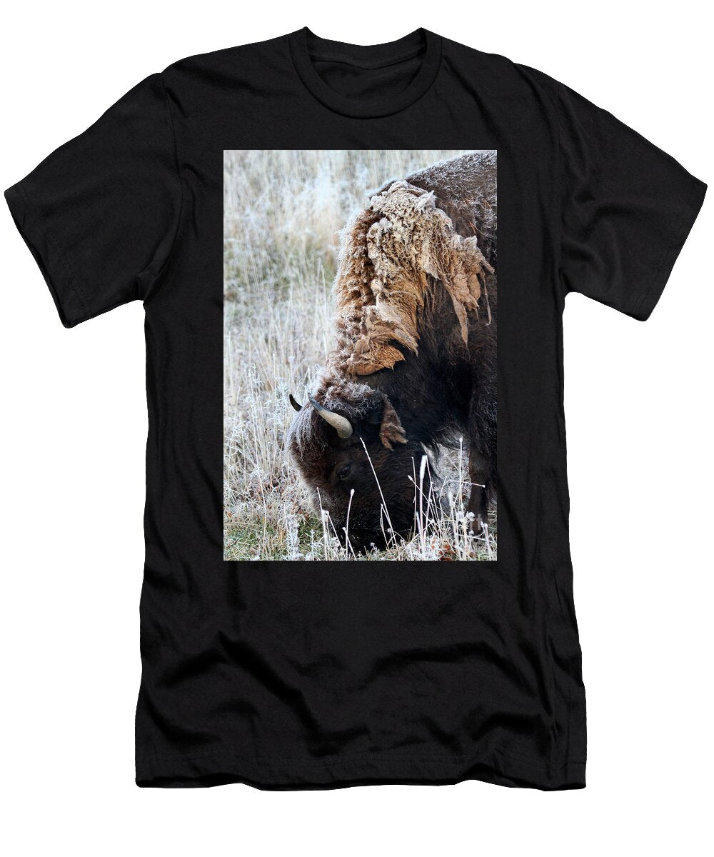 Frosted Bison Julie Argyle T-Shirt