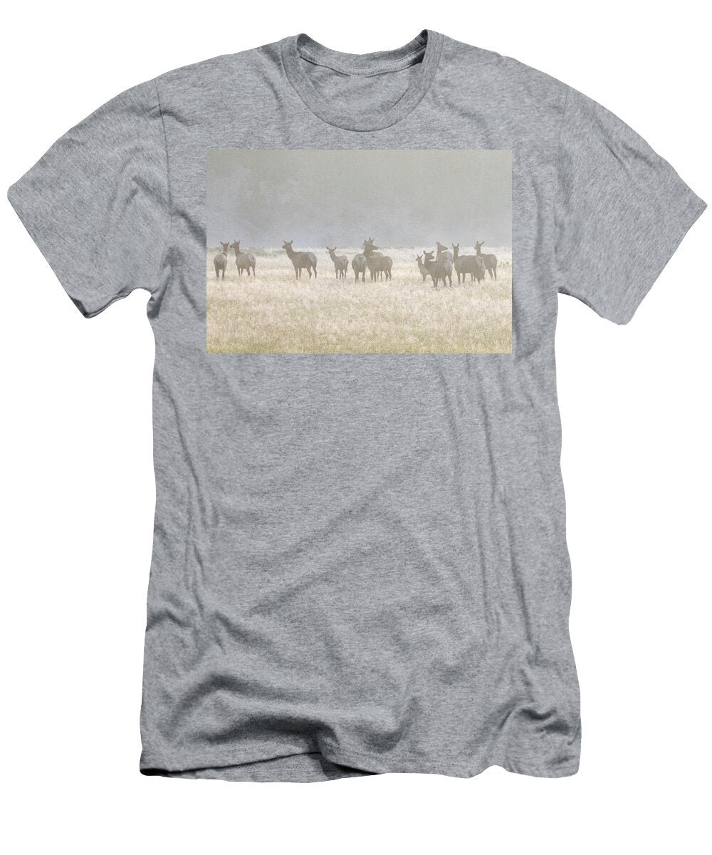 Frosted Elk Julie Argyle T-Shirt