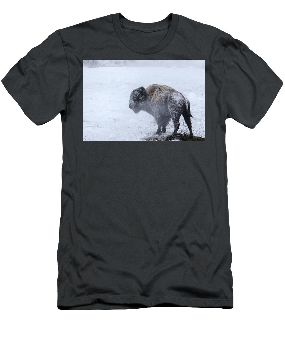 Frozen Julie Argyle T-Shirt