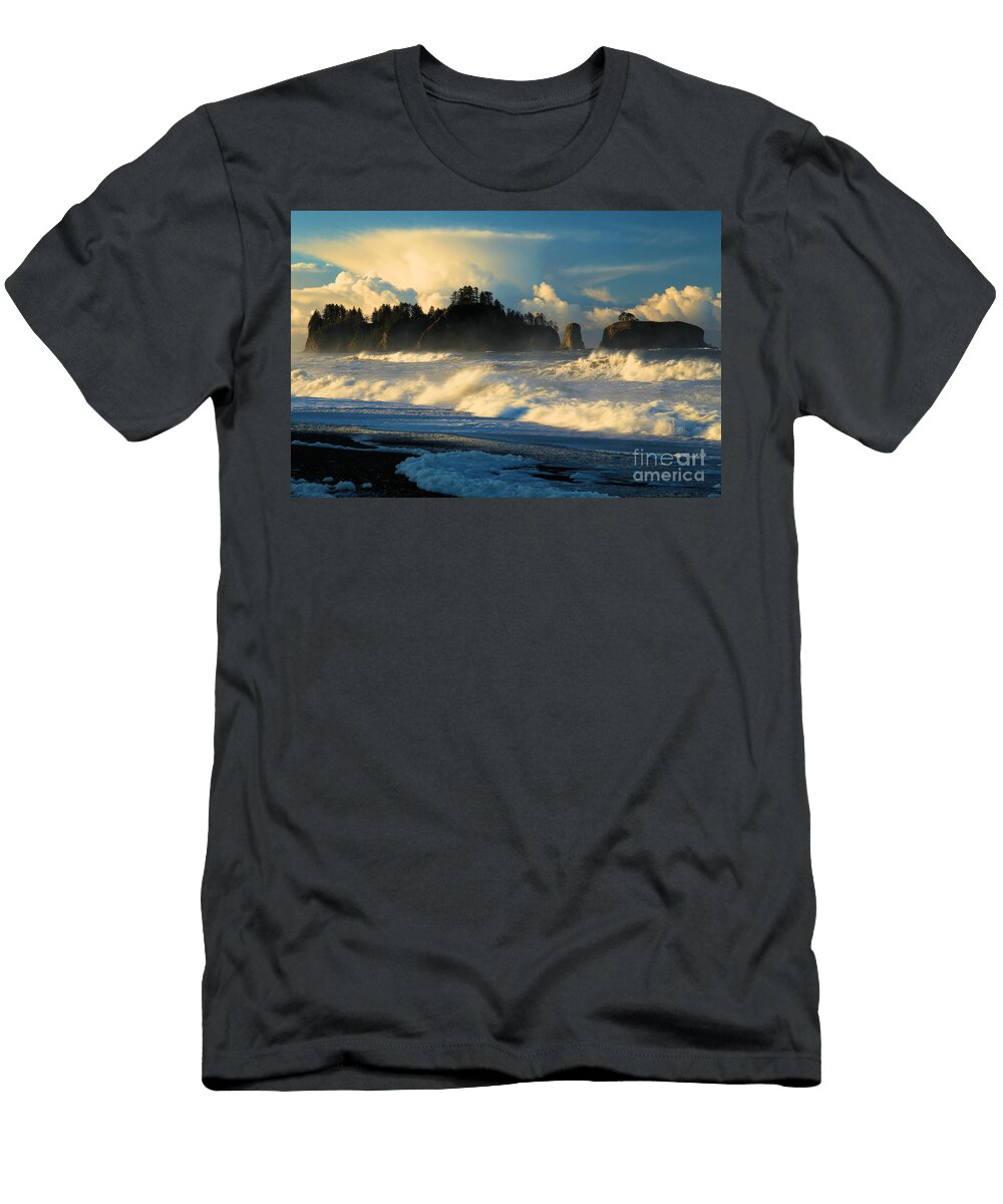 Fury Adam Jewell T-Shirt