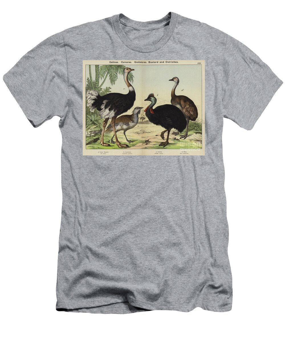 Gallinae Cursores Grallatores Bustard and Ostriches European School T-Shirt