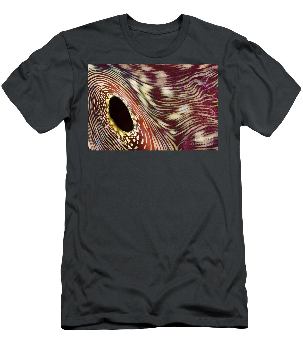 Giant Tridacna Clam Dave Fleetham T-Shirt