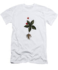 Ginseng Karin Savage T-Shirt