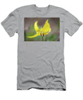 Glacier Lily Julie Argyle T-Shirt