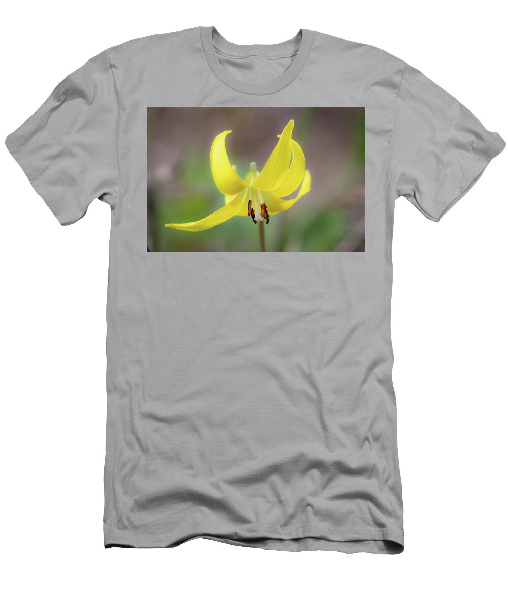 Glacier Lily Julie Argyle T-Shirt