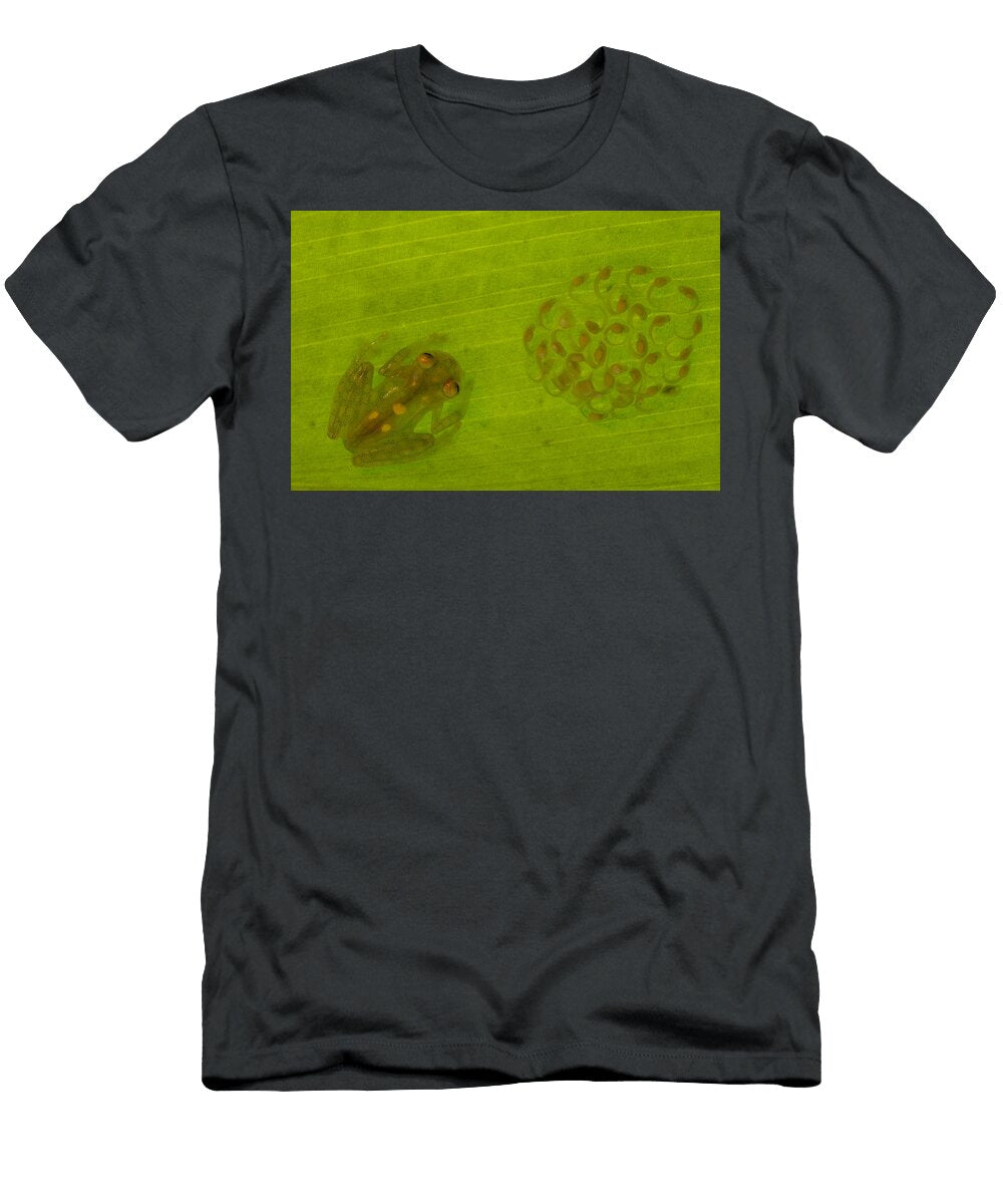 Glass Frog with Egg Clutch and Tadpoles Pete Oxford T-Shirt