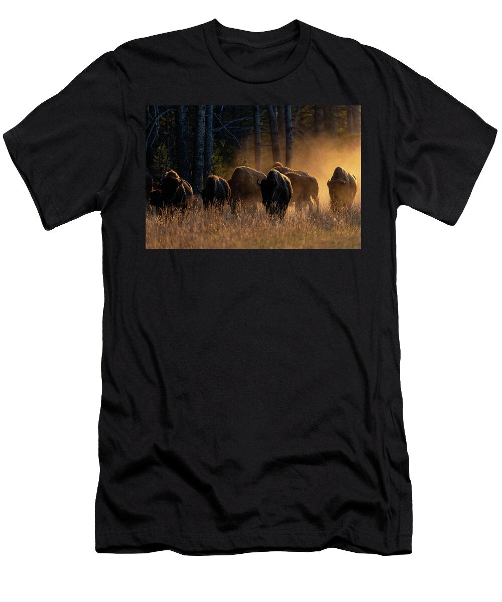 Glitter Julie Argyle T-Shirt