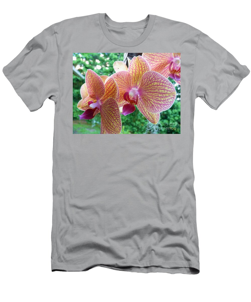 Glory Sisters Cat Pancake T-Shirt