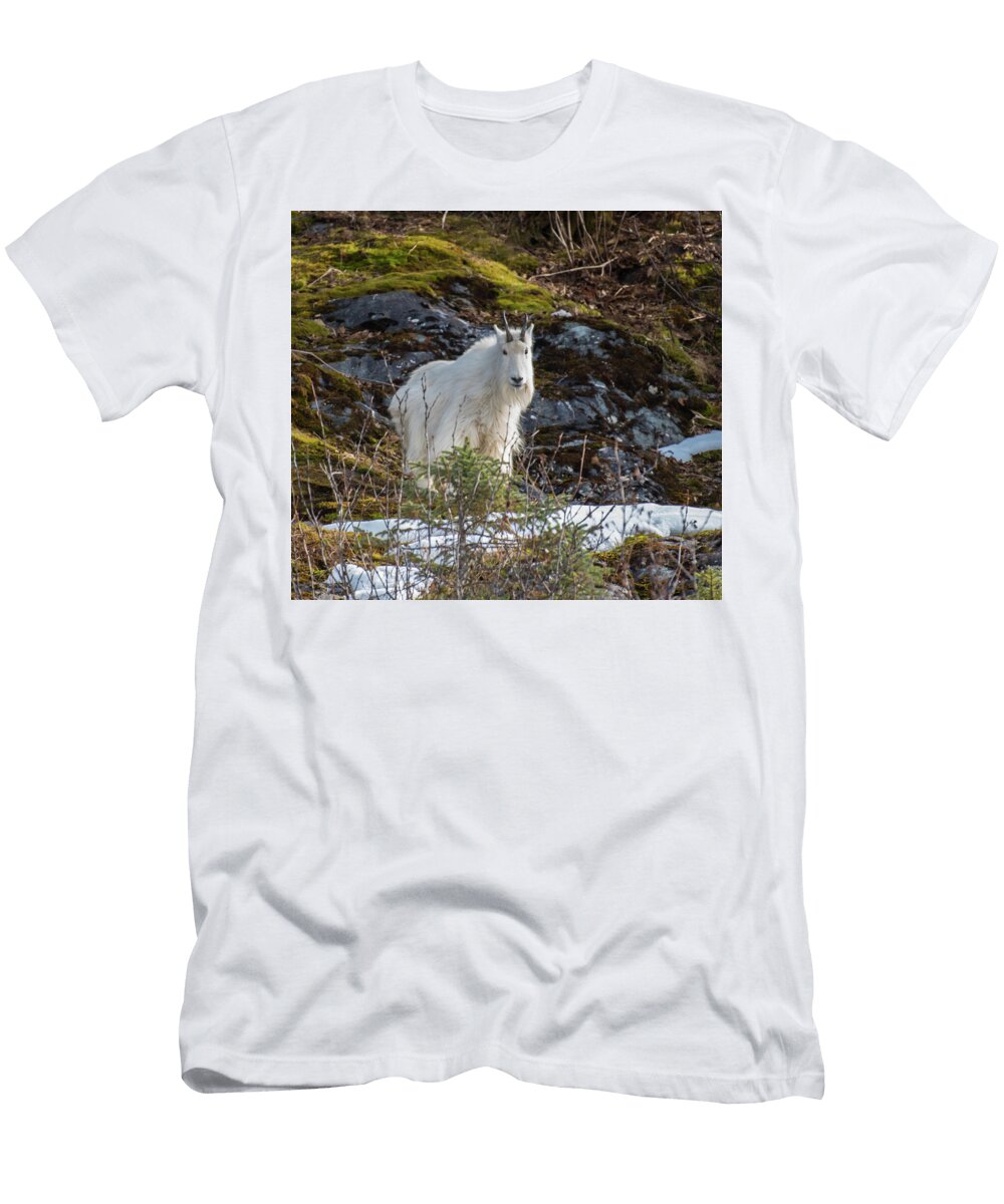 Goat David Kirby T-Shirt