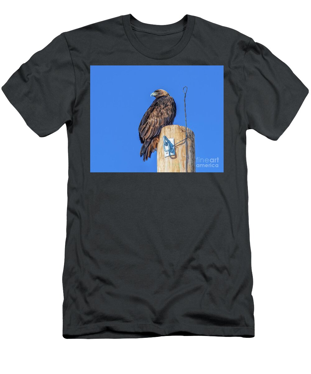Gold in the Desert Jennifer Jenson T-Shirt