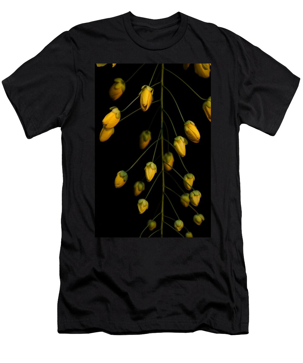 Gold Swirl Mario Morales Rubi T-Shirt
