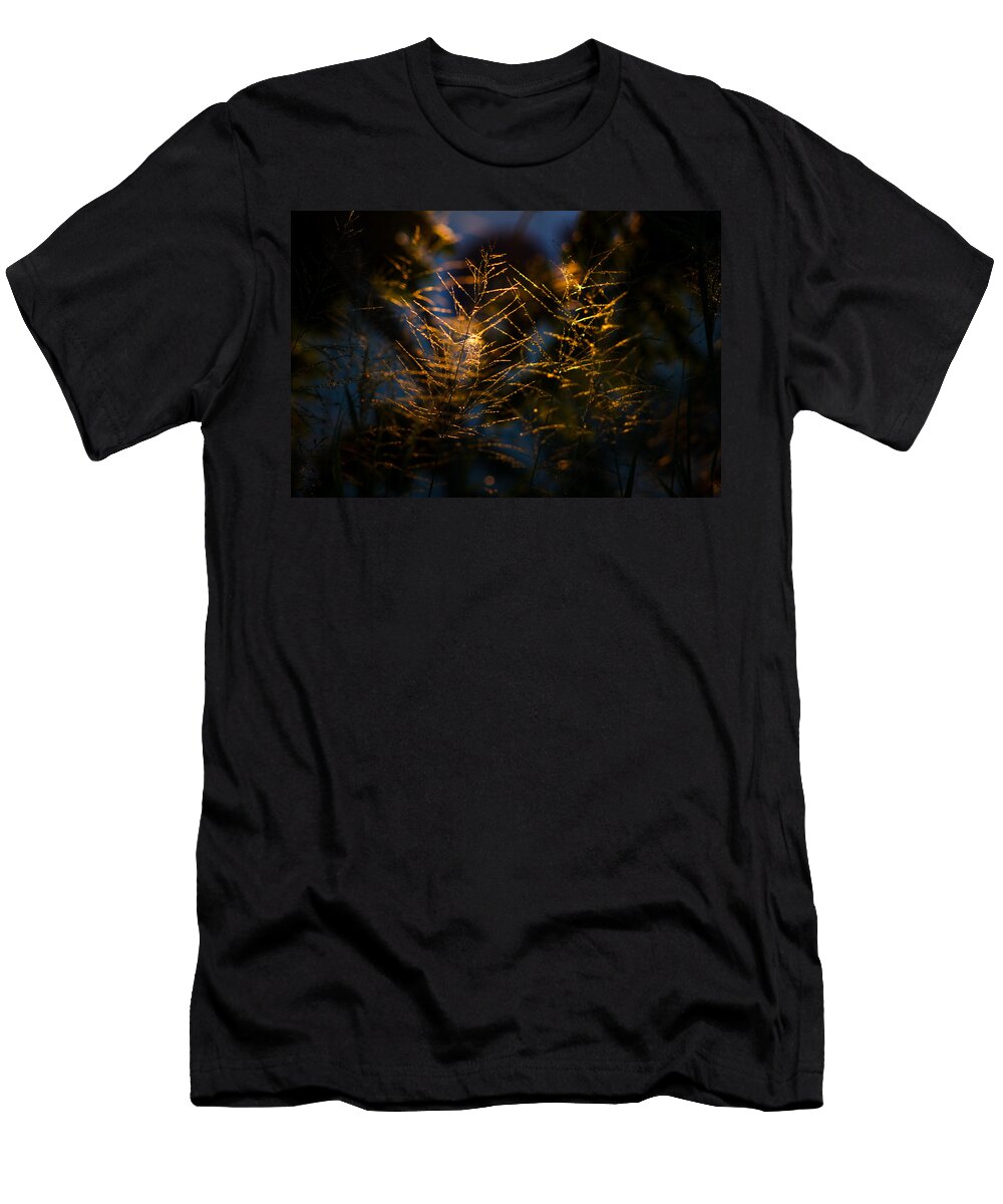 Golden Heart and Love Mario Morales Rubi T-Shirt