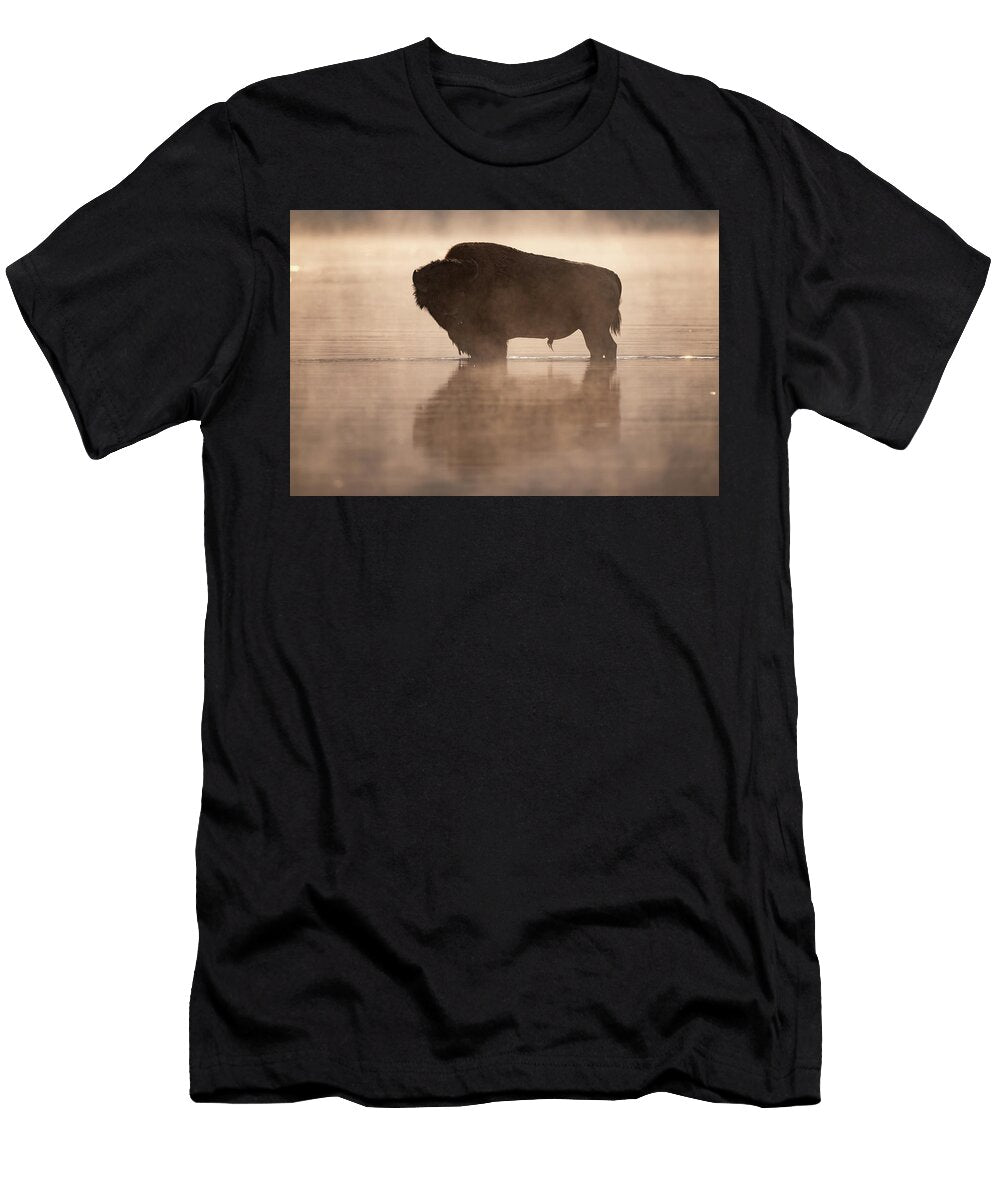 Golden Hour Julie Argyle T-Shirt