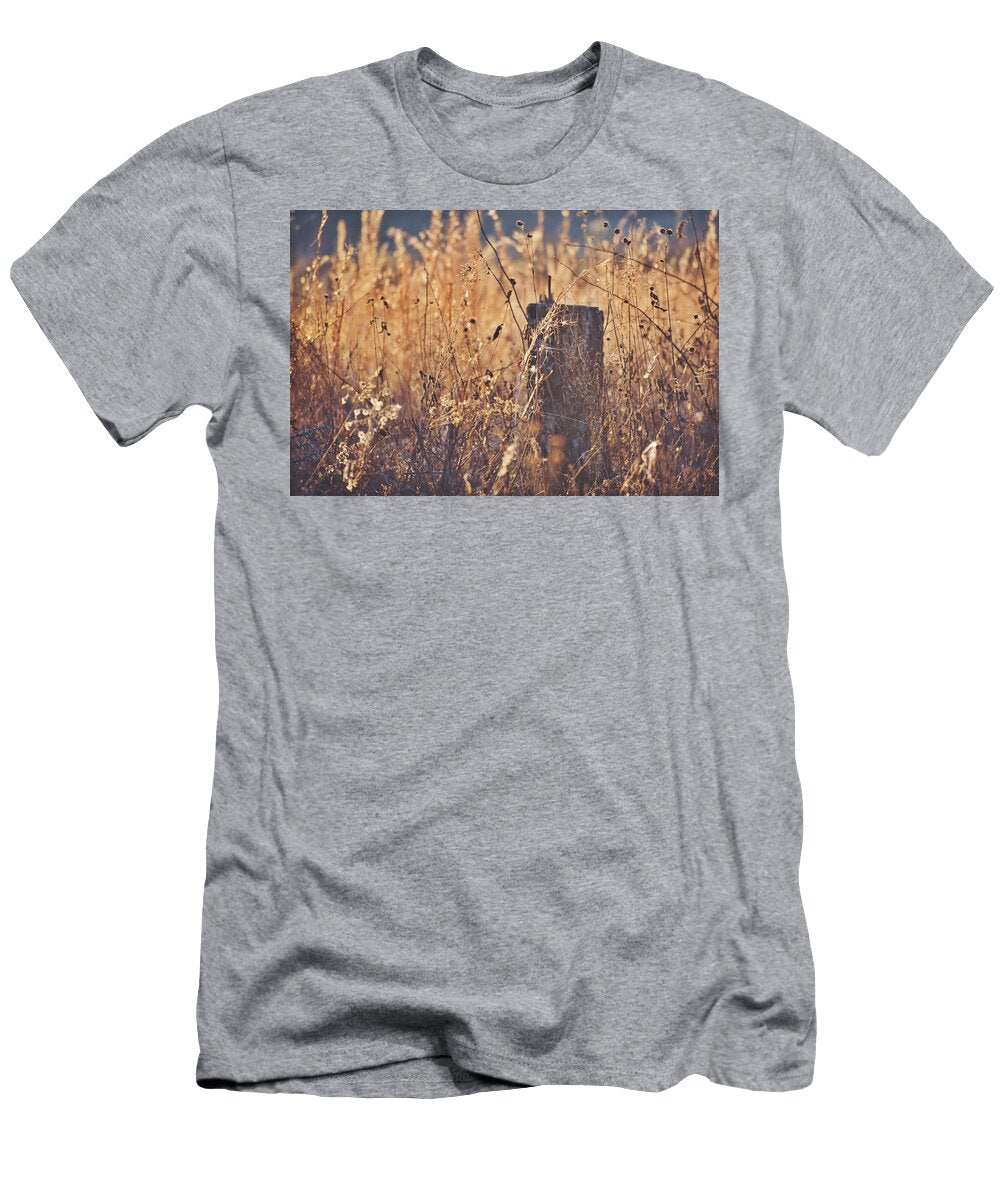 Golden Hour on the Farm Sarah Kirby T-Shirt