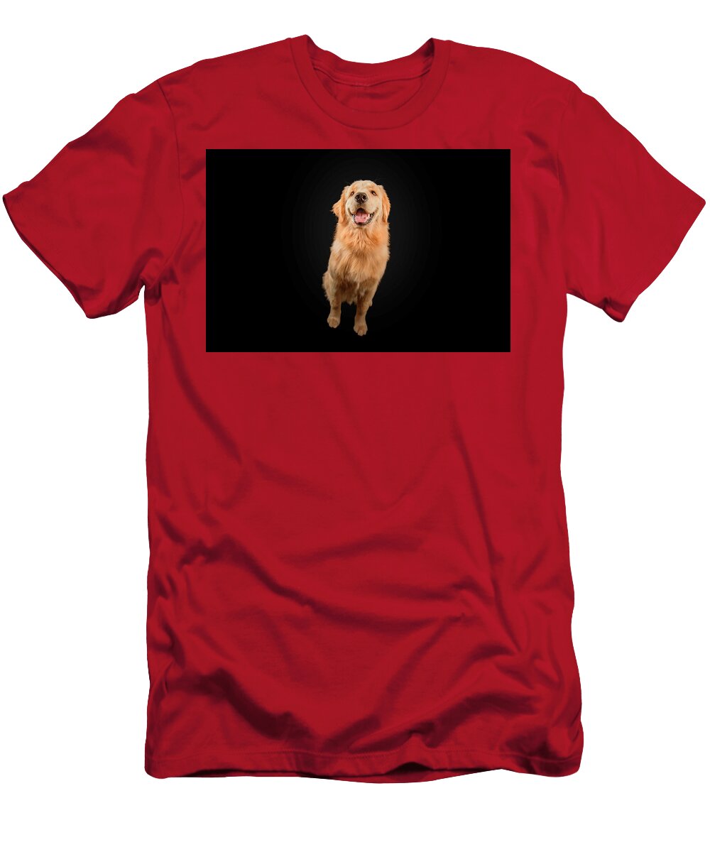 Golden Retriever Portrait Paul Sears Resilient Rover T-Shirt