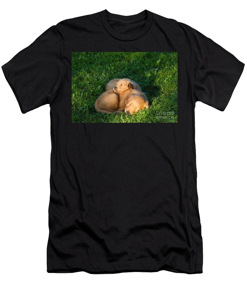 Golden Retriever Puppies Sleeping Linda Freshwaters Arndt T-Shirt
