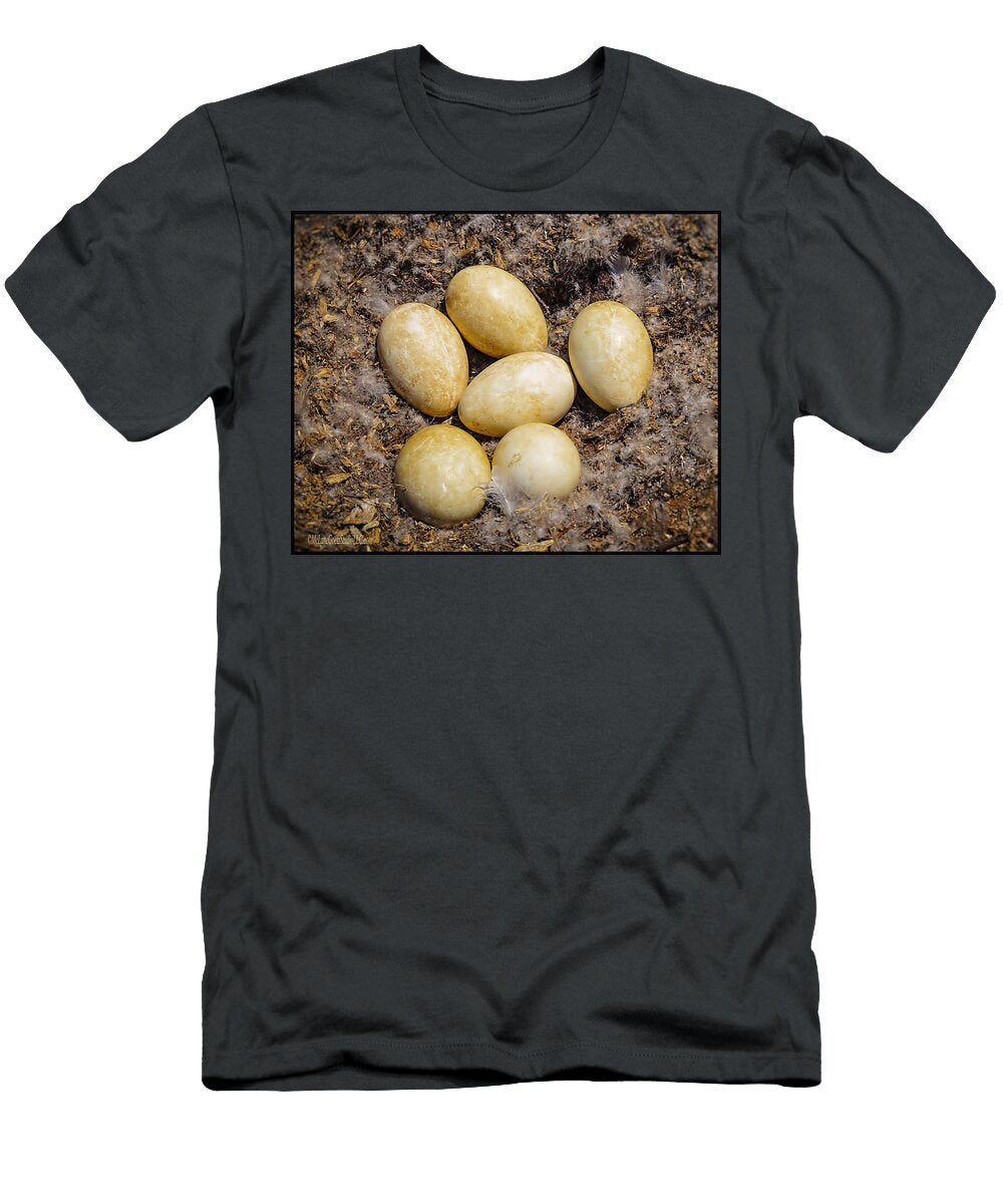 Goose Eggs Leeann Mclanegoetz Mclanegoetzstudiollccom T-Shirt