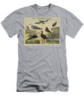 Grallatores Palmipedes Wading and Swimming Birds European School T-Shirt