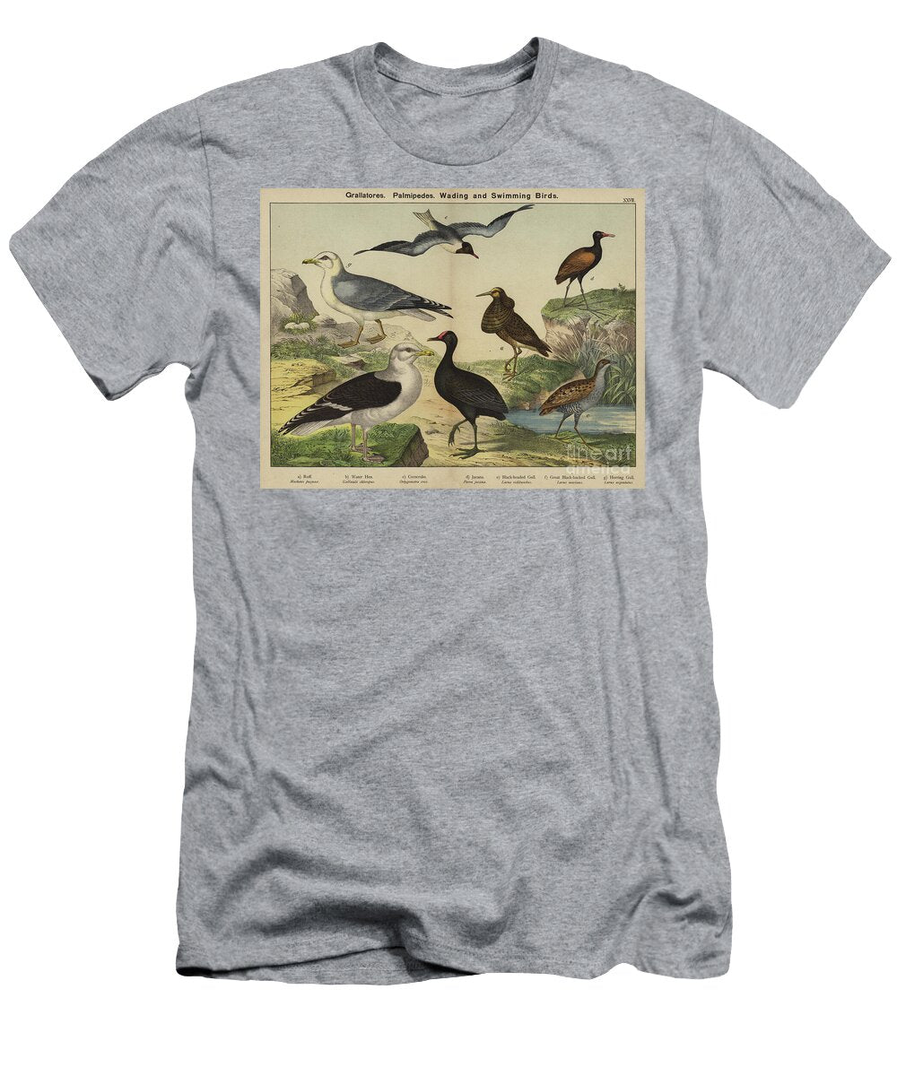 Grallatores Palmipedes Wading and Swimming Birds European School T-Shirt
