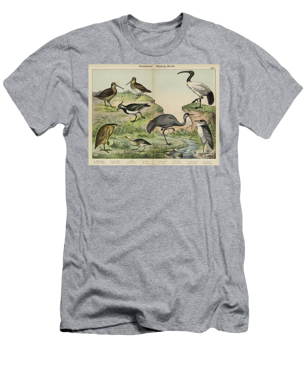 Grallatores Wading Birds European School T-Shirt