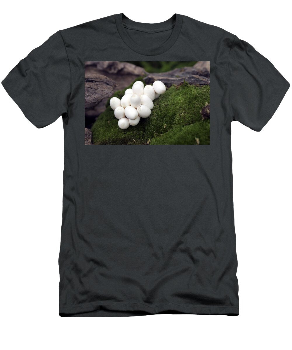 Grass Snake Eggs M Watson T-Shirt