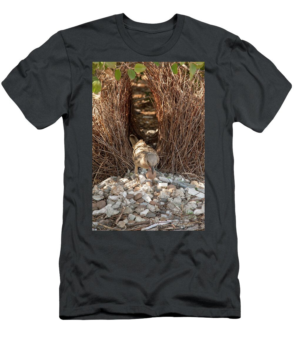 Great Bowerbird Male Tending to Bower Decorated with White Steven David Miller Natureplcom T-Shirt