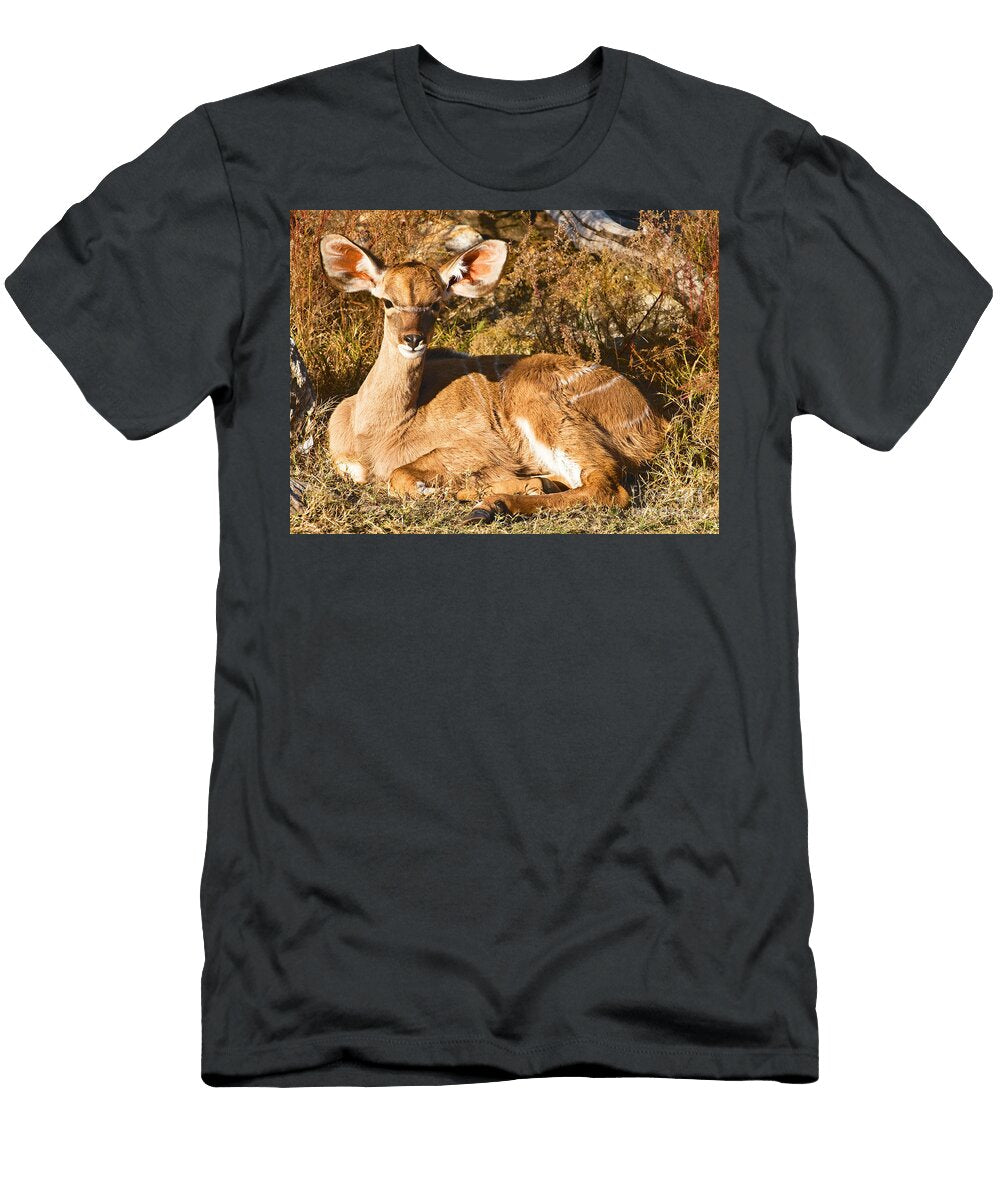 Greater Kudu Calf Millard H Sharp T-Shirt