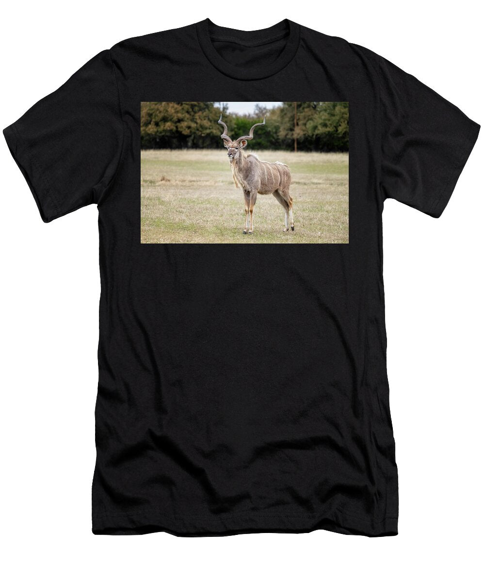 Greater Kudu Ii Joan Carroll T-Shirt