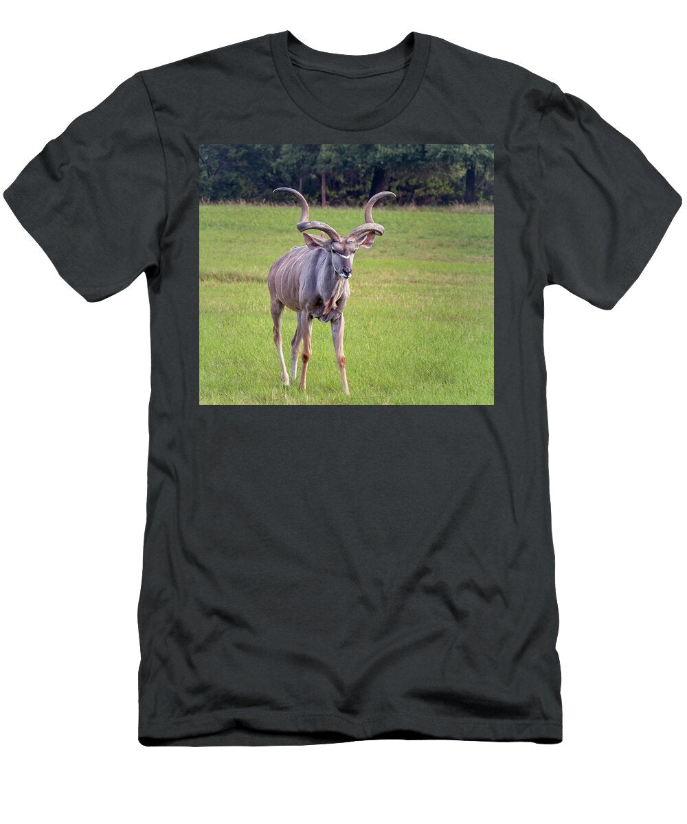 Greater Kudu Joan Carroll T-Shirt