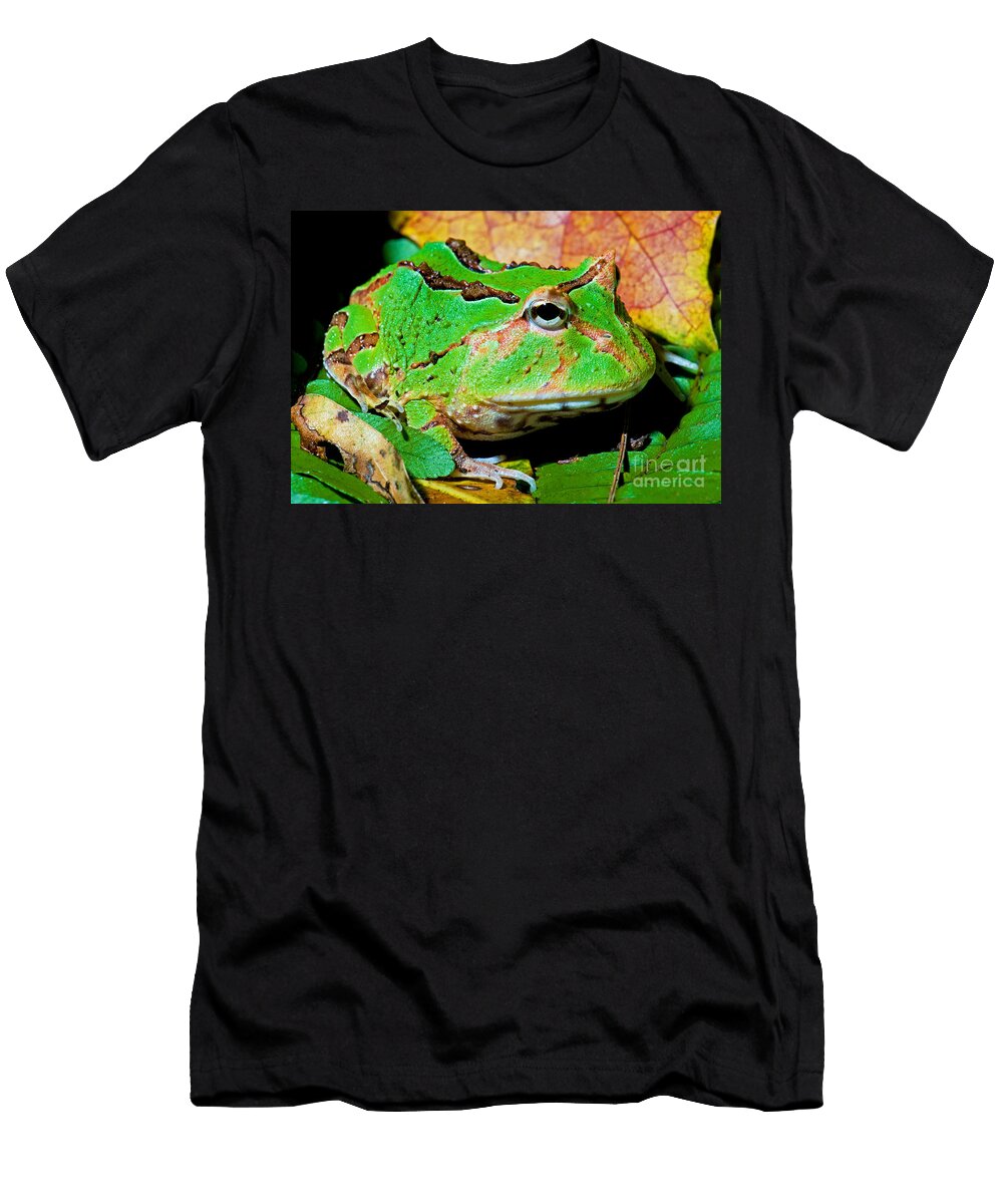 Green Fantasy Frogpacman Frog Millard H Sharp T-Shirt
